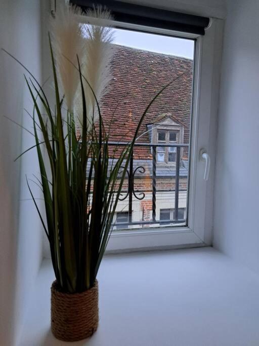 Confortable Studio Renove Cambrai Luaran gambar
